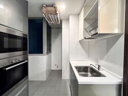 The Riverine By The Park (D12), Apartment #543519101